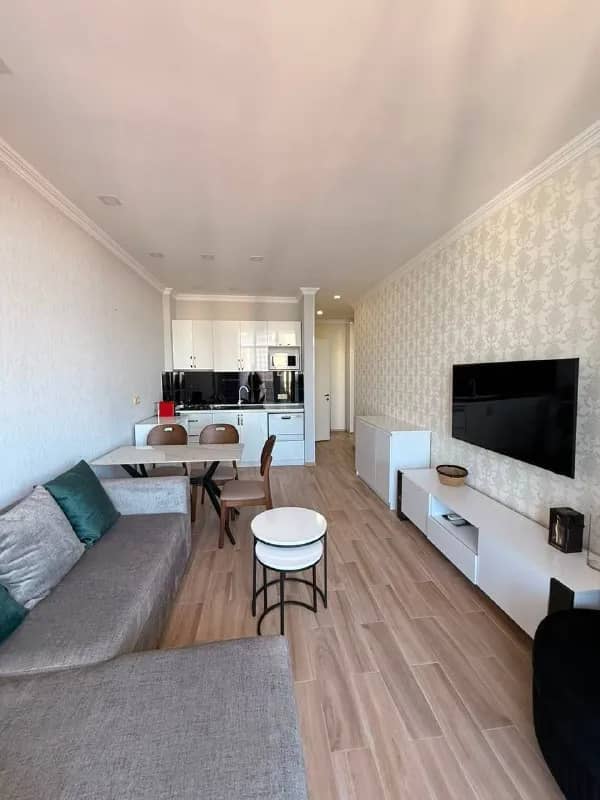 1+1 по улице Пиросмани,18D — Батуми — 950 $