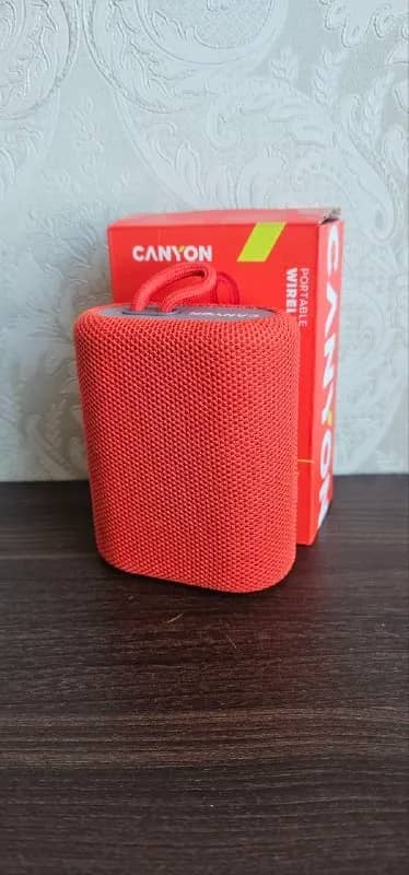 Canyon BSP-4 — 30 GEL — Батуми — 30 ₾