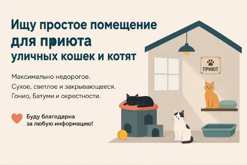 Без названия — Батуми