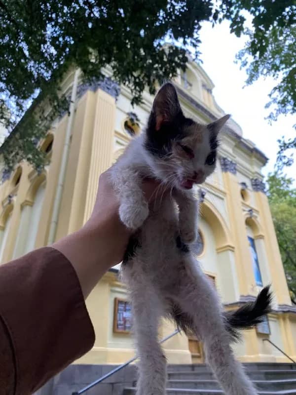 [телефон] — Тбилиси