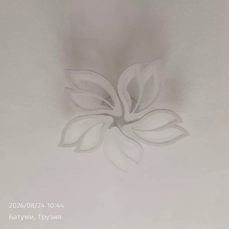 70 лари — Батуми — 70 ₾