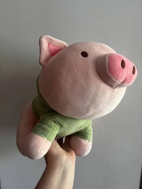 MINISO — Тбилиси — 10 ₾