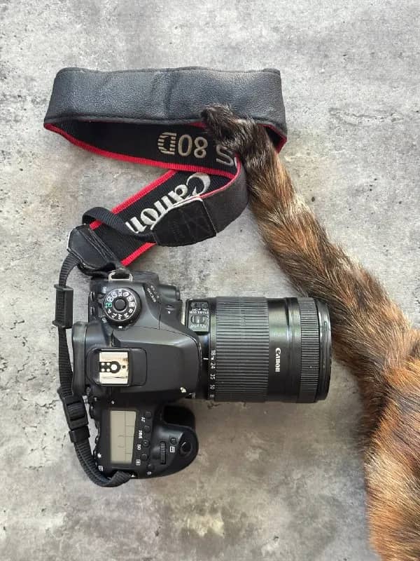 dslr камера canon 80D + объектив 18-135 mm — Тбилиси — 1 300 ₾