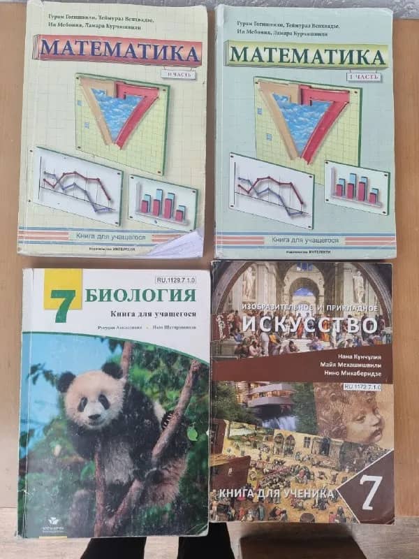 7 класс русский сектор. Цена 20 лари за все. Забрать нужно сегодня район Авлабари. — Тбилиси — 20 ₾