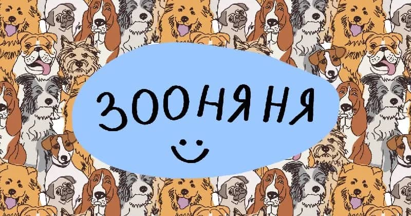 1 час — 20 лари — Батуми — 20 ₾