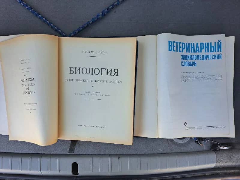 Без названия — Тбилиси