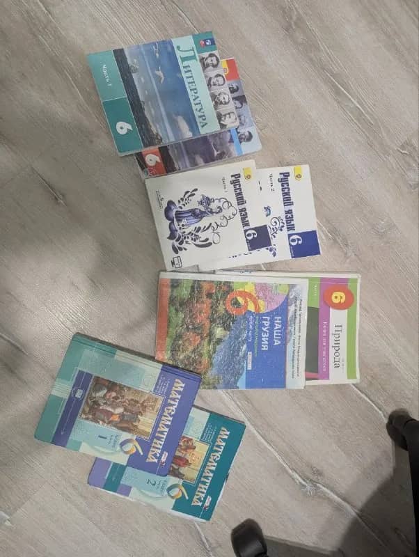 6 класса (школа евро2000). Математика, русский язык, литература (1и 2 части каждого предмета)- 20 ла — Батуми — 20 ₾