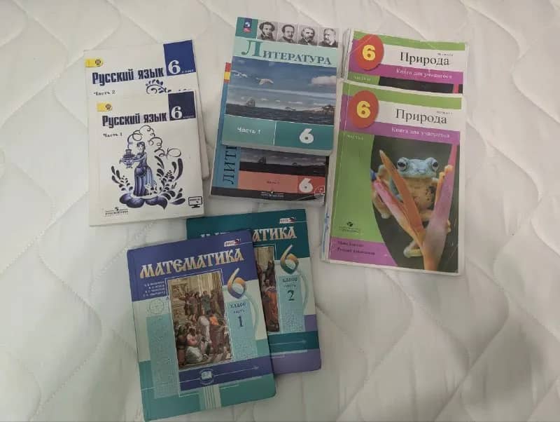 6 класса (школа евро2000). Математика, русский язык, литература (по 2 части)- 35 лари за предмет. П — Батуми — 35 ₾