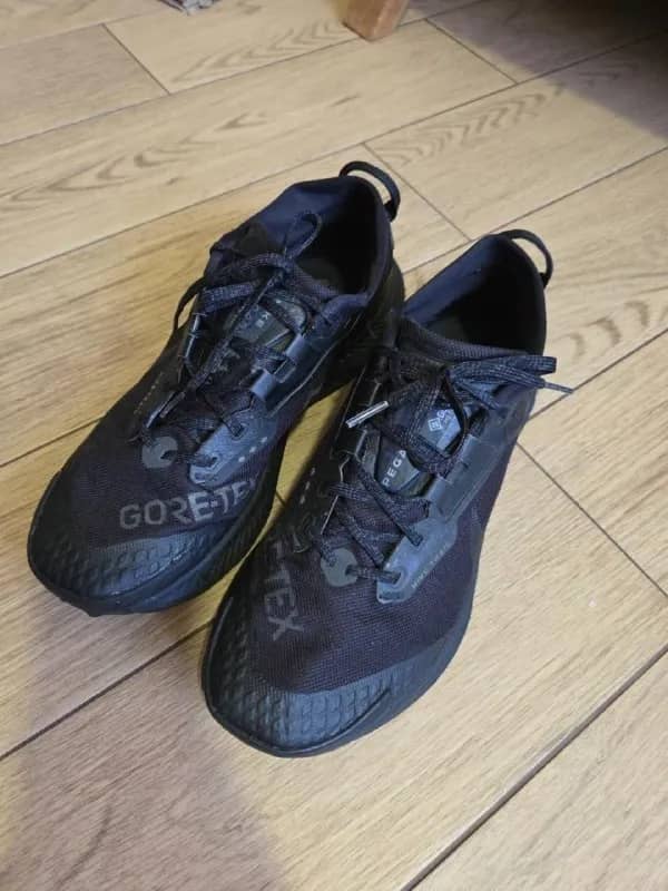 Nike Pegasus Trail 5 GORE-TEX — Тбилиси — 100 ₾