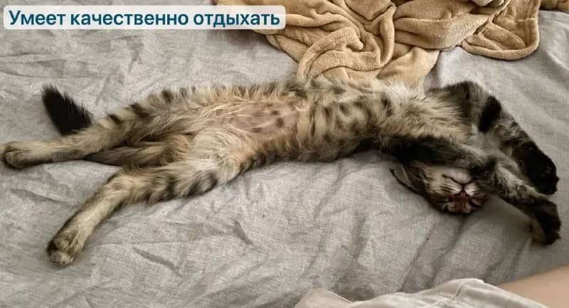 kkkkkkksssssss, если он вам приглянулся. — Батуми