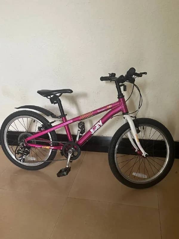 Joey Thumper 20R8 🚲 — Тбилиси — 500 ₾