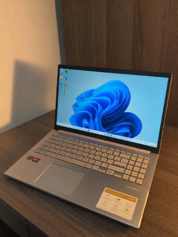 Asus Vivobook Go 15 — Анталия — 390 $