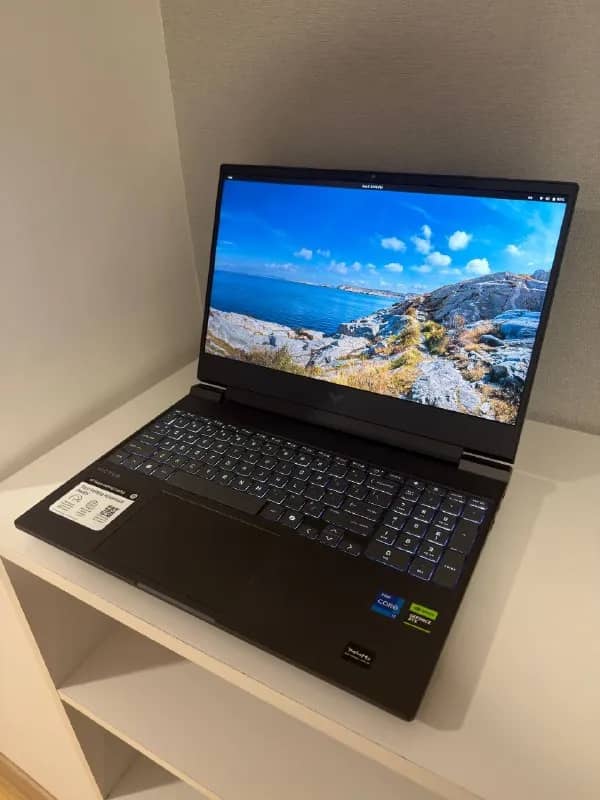 HP Victus 15 Gaming Laptop — Ереван — 450 000 ֏