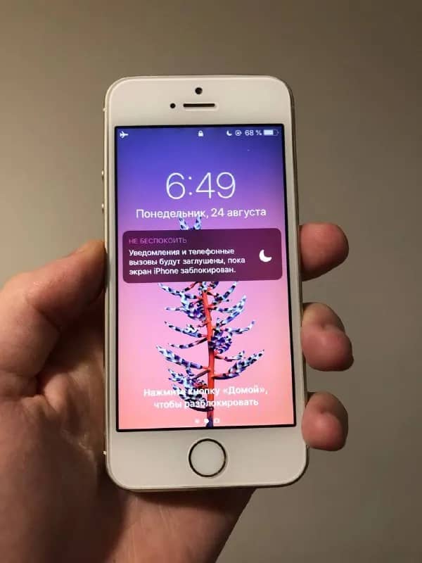 iPhone 5S в хорошем состоянии — Ереван — 11 500 ֏