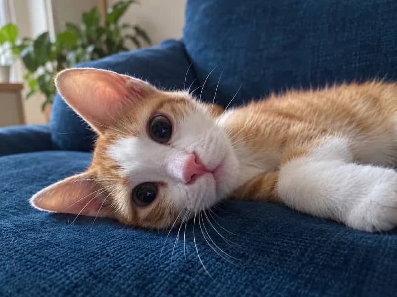 5 месяцев им). — Батуми