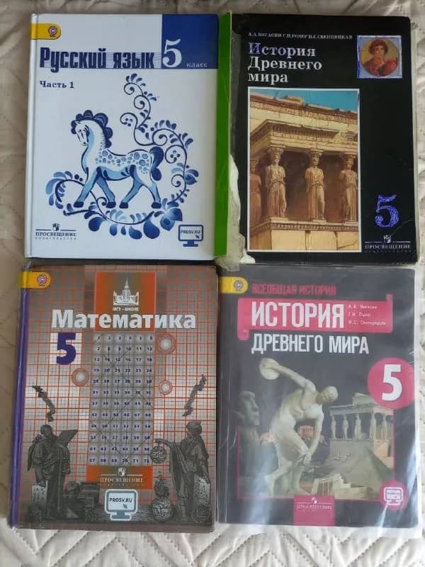 Учебники 5 класс: литература, русский, математика, история — Батуми — 15 ₾