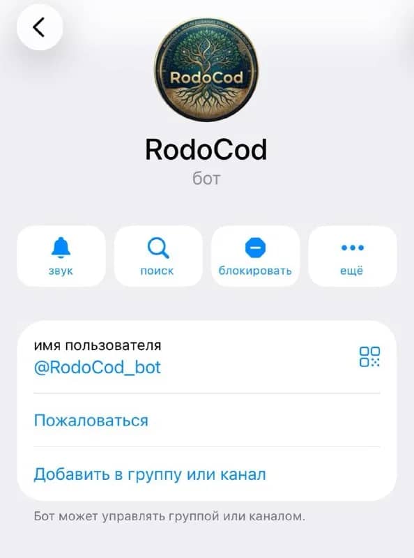 Разработка Telegram-ботов, сайтов и ИИ-автоматизация — Анталия