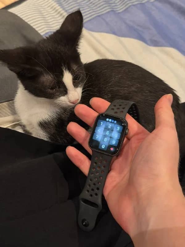 Apple Watch Nike SE — почти новые, отдам за 450 ₾ (реальный торг неуместен, цена и так ниже рынка) — Тбилиси — 450 ₾