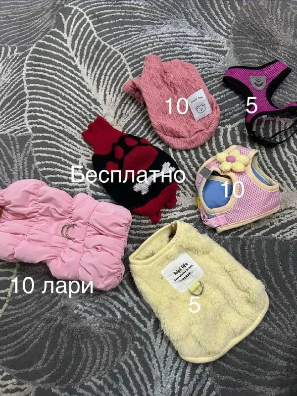Вещи для маленькой собаки, шлейки, кофточка и курточка XS — Батуми