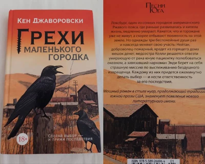 Книга Грехи маленького городка Кен Джаворовски — Белград — 550 дин