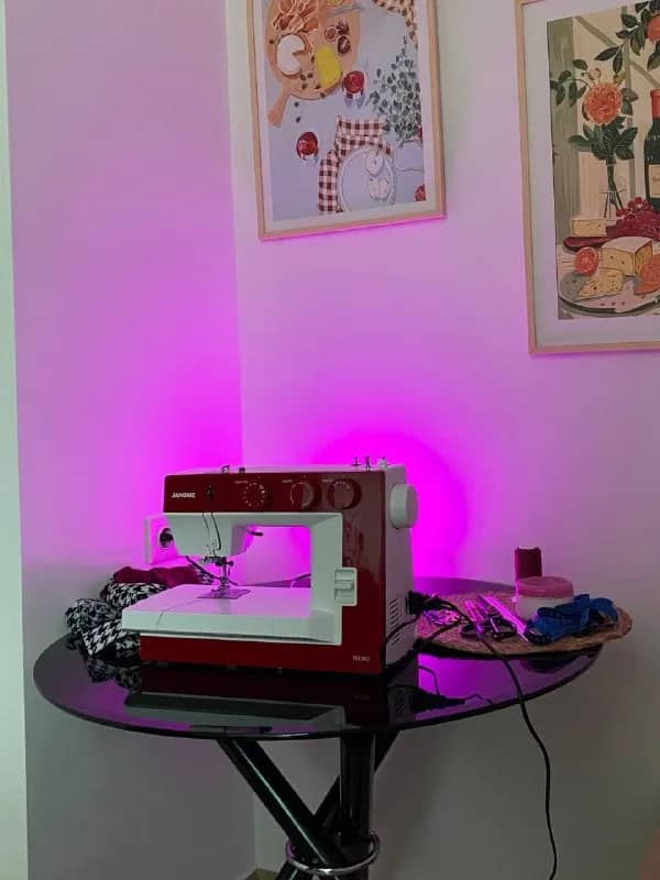 Janome 1522 — Тбилиси — 830 ₾
