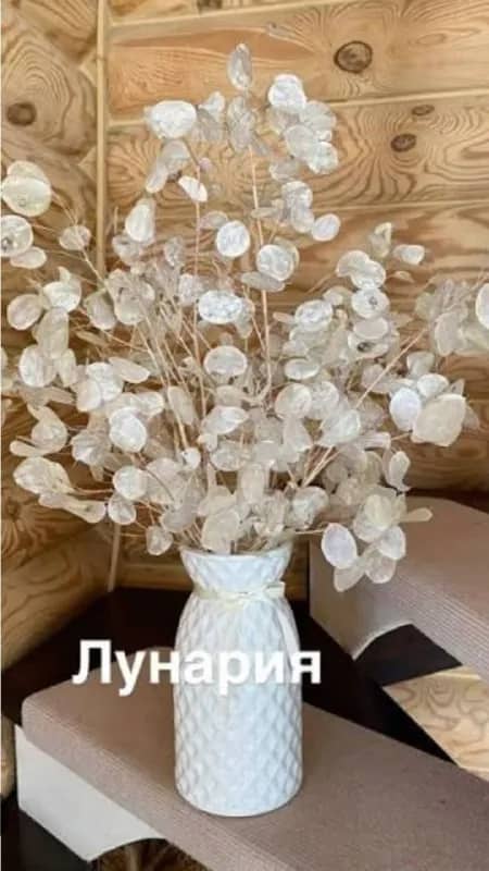 Без названия — Ереван