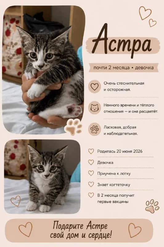 [телефон] — Батуми