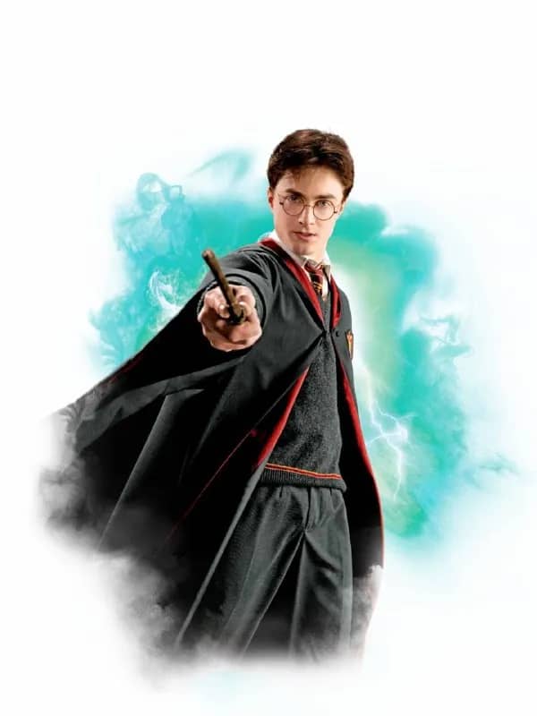 Harry Potter / Albus Dumbledore Wand — Тбилиси — 25 ₾