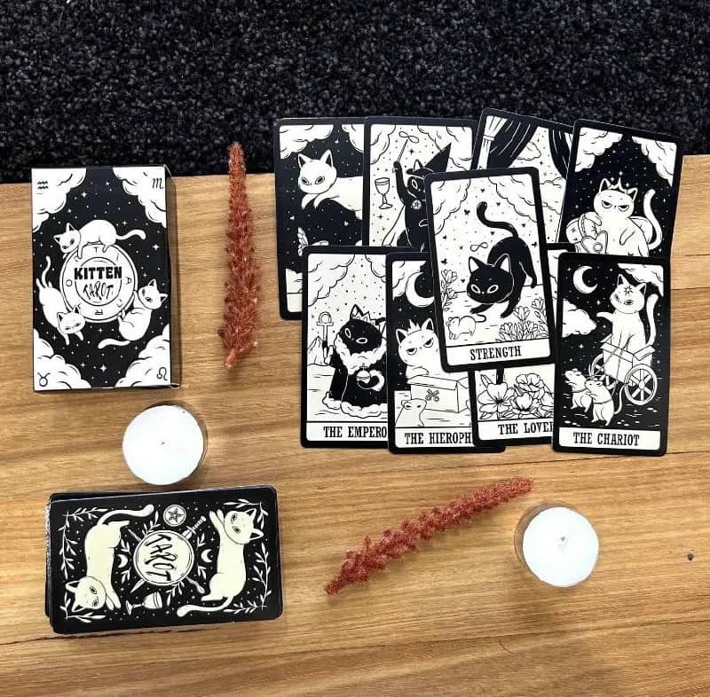 Kitten Tarot — Тбилиси — 40 ₾