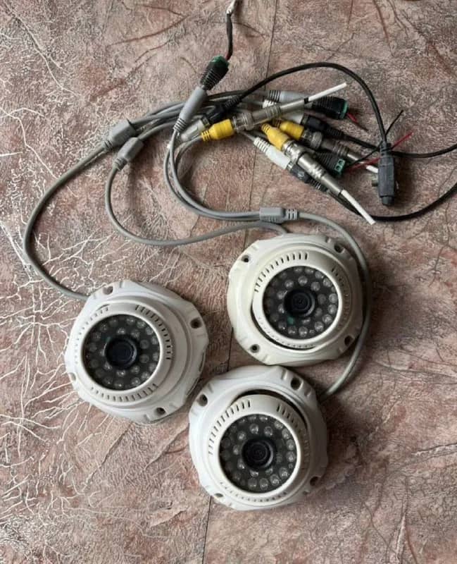 Falcon Eye — Батуми — 20 ₾