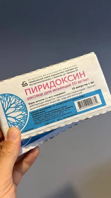 6 отдам — Тбилиси — 5 ₾