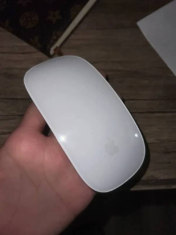 apple mouse — Тбилиси — 200 ₾
