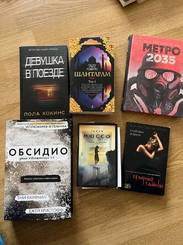 Книги: девушка в поезде, шантарам, метро 2035, темные тайны, девушка из бруклина, обсидио — Батуми — 250 ₾