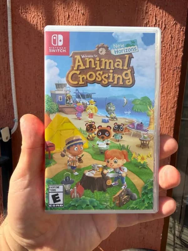 Nintendo Switch — Animal Crossing: New Horizons — 100 GEL — Тбилиси — 100 ₾