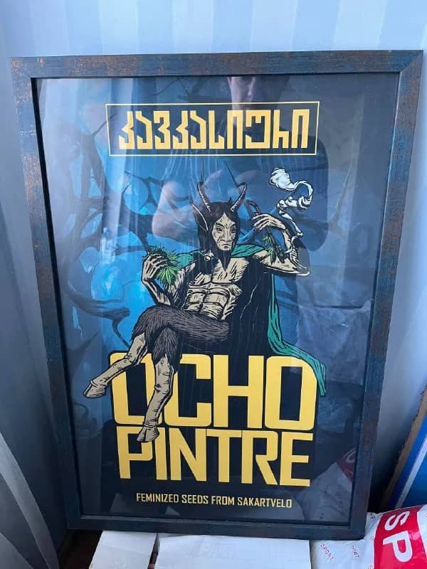 5 постеров 50×70 с стеклом — Батуми — 250 ₾