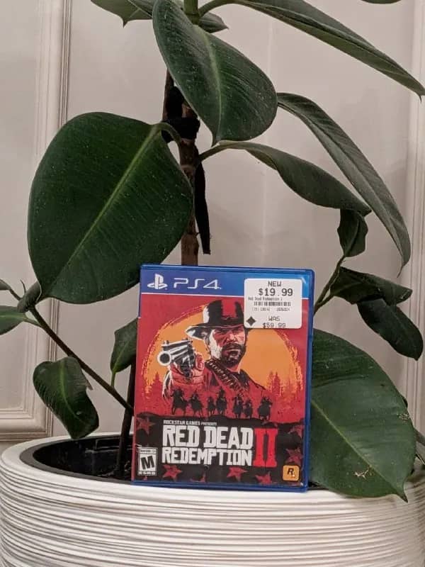 Read Dead Redemption 2, Elder Ring, Grand Turismo 7 — Батуми — 205 ₾