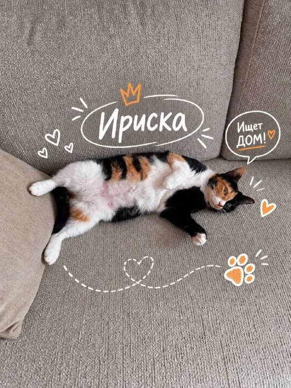Ириска — Батуми