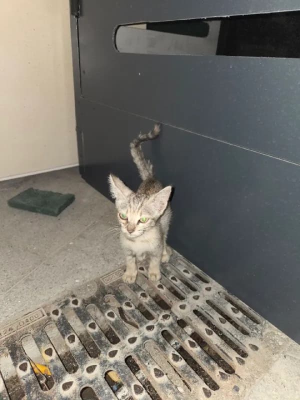 Без названия — Батуми