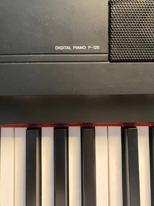 Yamaha p125b, со стойкой в полном комплекте. — Тбилиси — 1,870 ₾