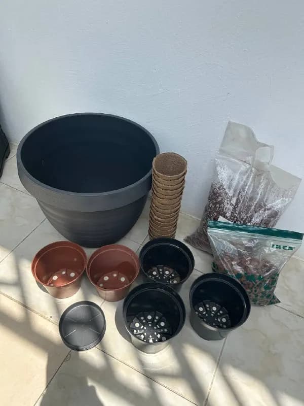 40 gel все вместе. — Тбилиси — 40 ₾