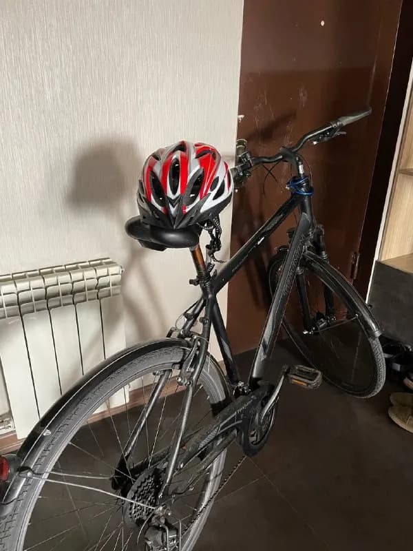 Triumph 🚲 — Тбилиси — 300 ₾