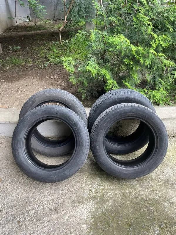 Petlas Suvmaster A/S — Тбилиси — 800 ₾