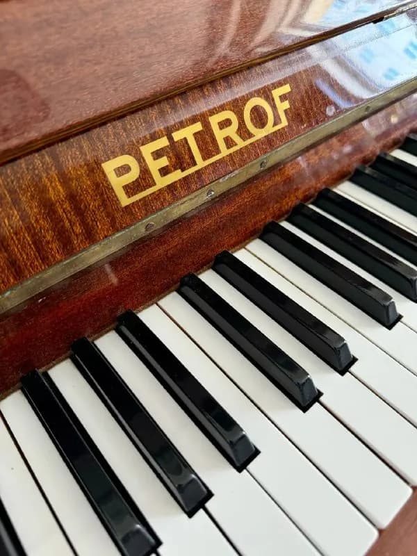 Petrof — Тбилиси — 2500 ₾