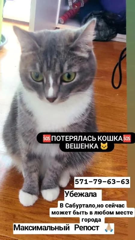 Без названия — Тбилиси