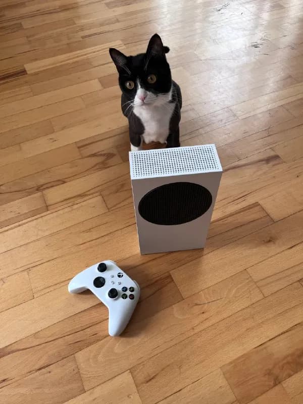 XBOX Series S — Тбилиси — 650 ₾