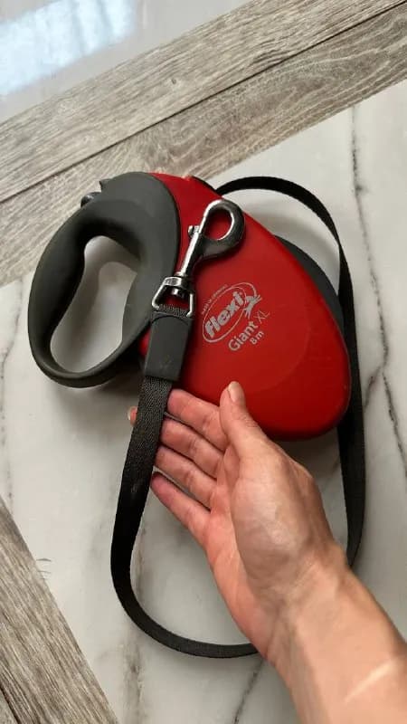 Flexi Giant XL поводок-рулетка (8 м, лента, до 75 кг)Удобный и практичный поводок-рулетка для собак — Тбилиси — 55 ₾
