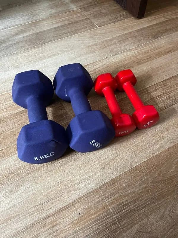 2 штуки по 8 кг каждая и 2 штуки по 1 кг — Тбилиси — 100 ₾