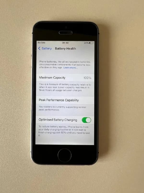 iPhone SE 2016 года, нижнее заднее стекло разбито, так норм. На экране защитное стекло. 100% батарея — Тбилиси — 110 ₾