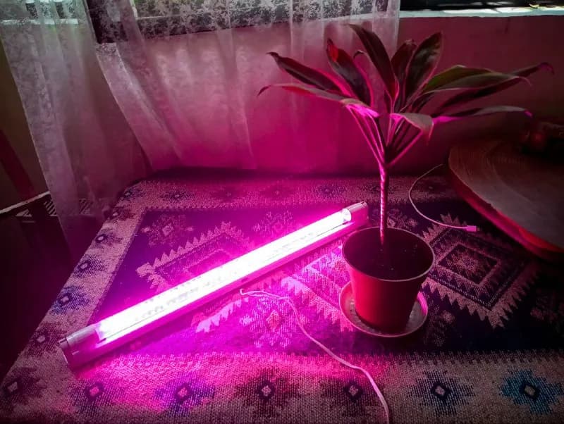 35 ლ — Тбилиси