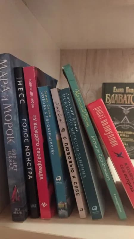 5 лари, вместе за 30 лари. Состояние отличное, только у «Маленького принца» немного уголок погнулся. — Тбилиси — 5 ₾